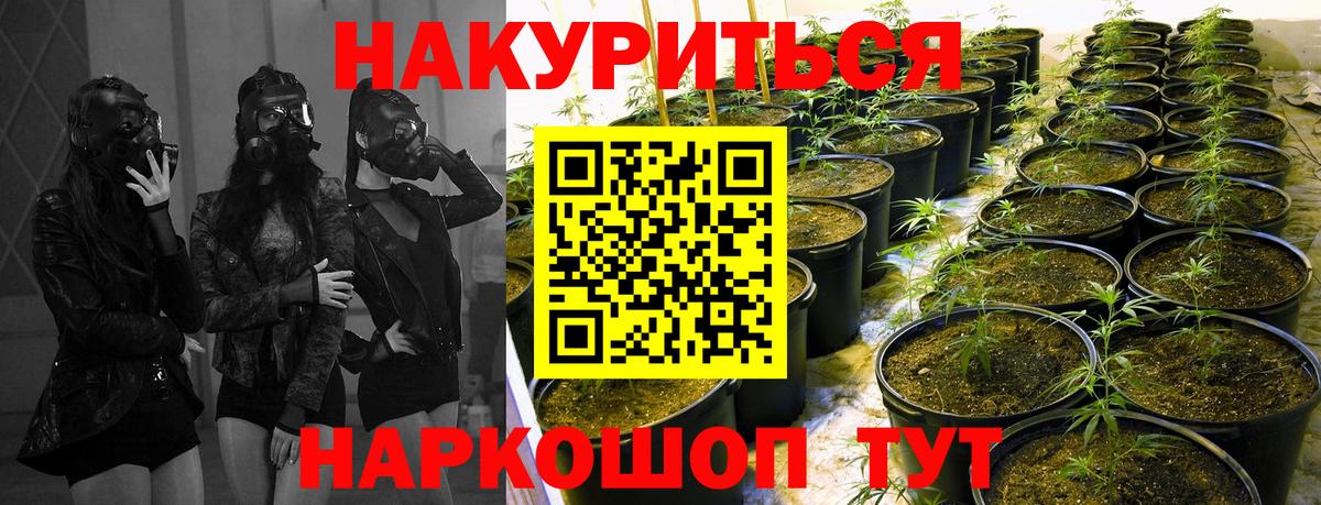 Гулькевичи  Шишки марихуана гибрид  Бошки марихуана план  Бошки марихуана OG Kush  Вход с VPN 